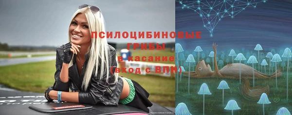 дживик Переславль-Залесский