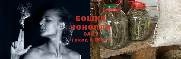 Альфа ПВП Пересвет