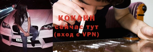 Альфа ПВП Пересвет