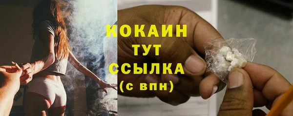 Альфа ПВП Пересвет