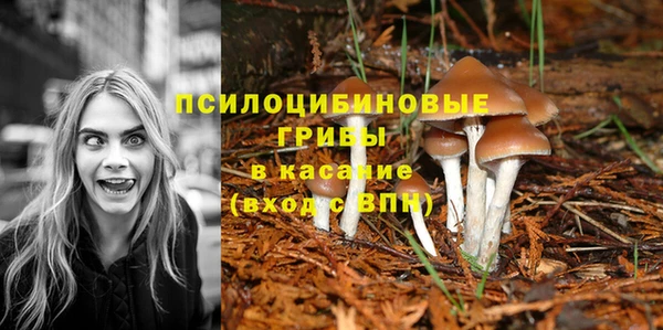 Альфа ПВП Пересвет
