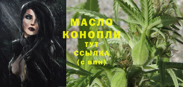 Альфа ПВП Пересвет